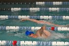 Swimming vs Babson  Wheaton College Swimming vs Babson College. - Photo By: KEITH NORDSTROM : Wheaton, Swimming, Babson